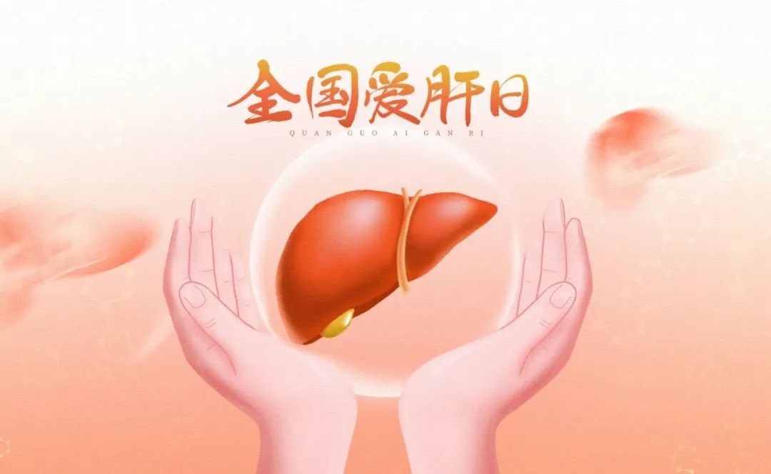 3.18全國愛肝日，中西醫攜手共筑肝臟健康防線
